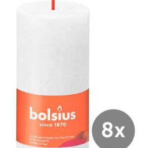 Bolsius 8er Pack Stumpenkerze 100/50 Rustik Shine wolkiges weiß 02