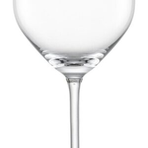 Schott Zwiesel Wasserglas/Rotweinglas 4er-Set Fortissimo klar