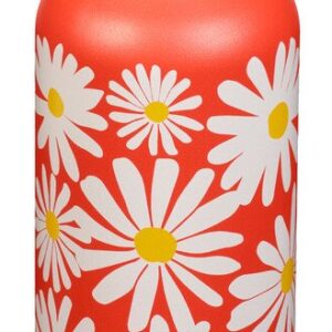 klean kanteen Trinkflasche 0