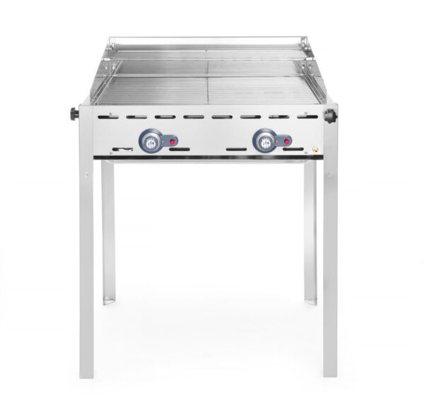 Grillsystem Green Fire 2 Brenner Profi Line - 2 Edelstahl Grillroste