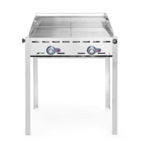 Grillsystem Green Fire 2 Brenner Profi Line - 2 Edelstahl Grillroste