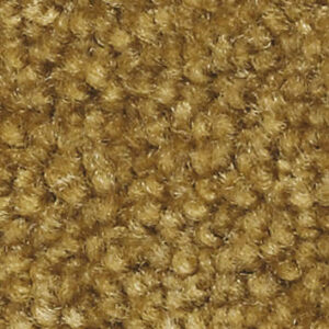 Premium Schmutzfangmatte / Sauberlaufmatte Busniness 115 x 240 cm I420 - Gold