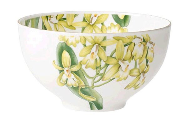 Villeroy & Boch Bol 13cm Amazonia