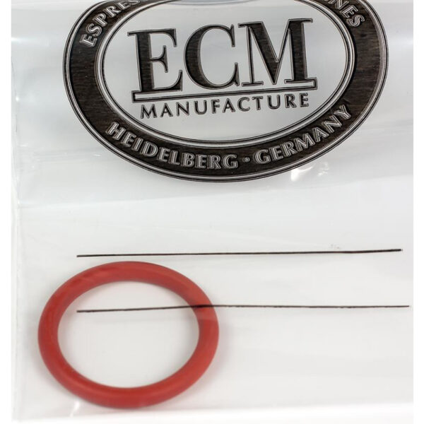 ECM Dichtung Heizung