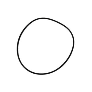 Nuova Simonelli OR-Dichtung 02300