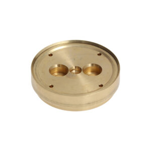 Gaggia Verteiler Duschträger