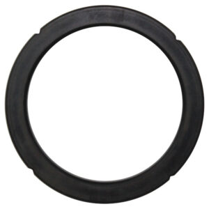 Rancilio Brühkopfdichtung  Silvia / Nancy / Aundrey