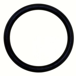 Elektra Siebträger Dichtung 57