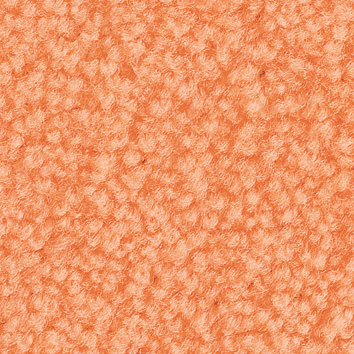 Premium Schmutzfangmatte / Sauberlaufmatte Busniness 85 x 120 cm I150 - Pfirsich 1 Premium Schmutzfangmatte / Sauberlaufmatte Busniness 115 x 240 cm I150 - Pfirsich