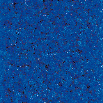 Premium Schmutzfangmatte / Sauberlaufmatte Busniness 150 x 400 cm I160 - Royalblau 1 Premium Schmutzfangmatte / Sauberlaufmatte Busniness 115 x 240 cm I160 - Royalblau