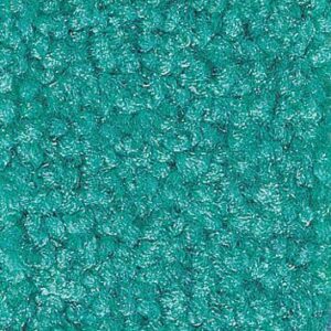 Premium Schmutzfangmatte / Sauberlaufmatte Busniness 115 x 240 cm I220 - Mint