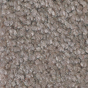 Premium Schmutzfangmatte / Sauberlaufmatte Busniness 115 x 240 cm I270 - Graphit