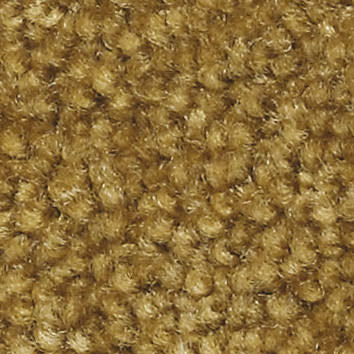 Premium Schmutzfangmatte / Sauberlaufmatte Busniness 85 x 120 cm I420 - Gold 1 Premium Schmutzfangmatte / Sauberlaufmatte Busniness 115 x 240 cm I420 - Gold