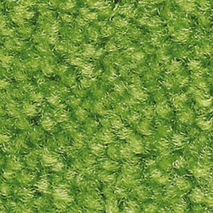 Premium Schmutzfangmatte / Sauberlaufmatte Busniness 115 x 240 cm I440 - Lichtgrün